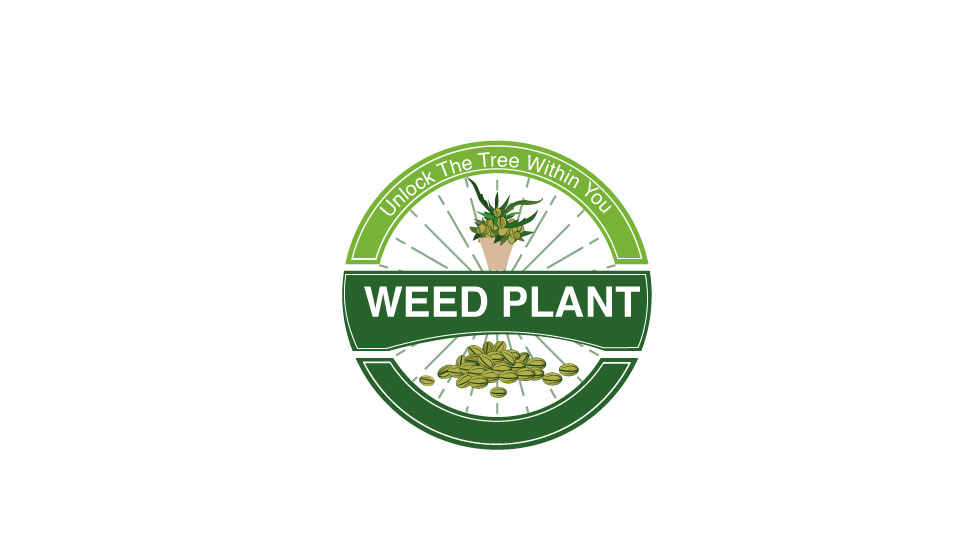 weed-plant.jpg