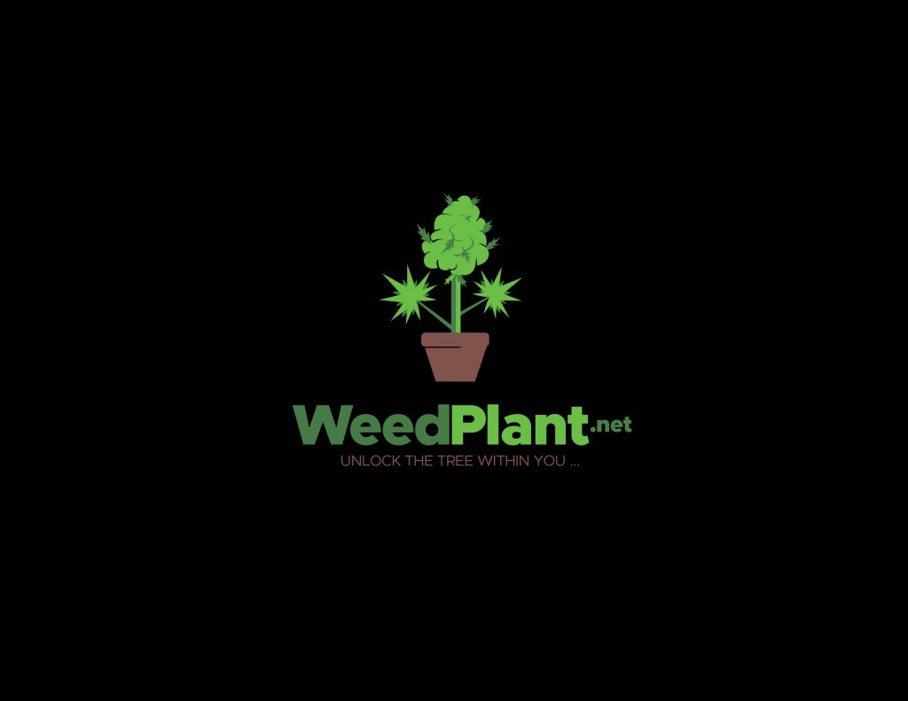 WEEDPLANT.1.1.jpg