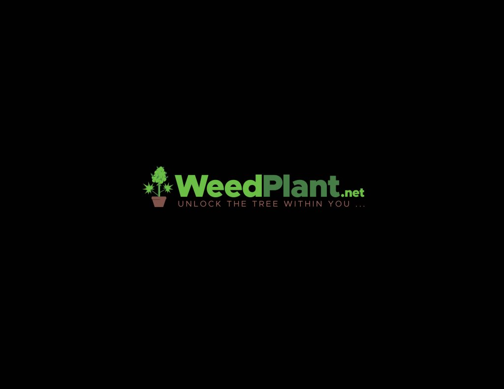 WEEDPLANT.1.2.jpg