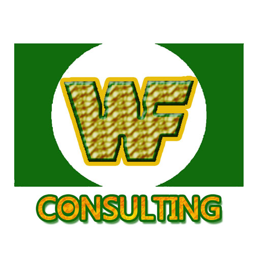 wf consulting.jpg