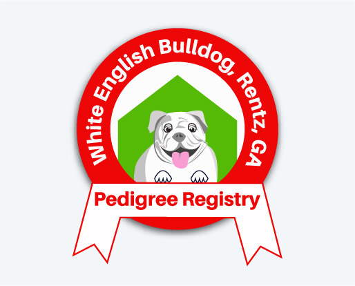 white english bulldog Pedigree Registry lanif.jpg
