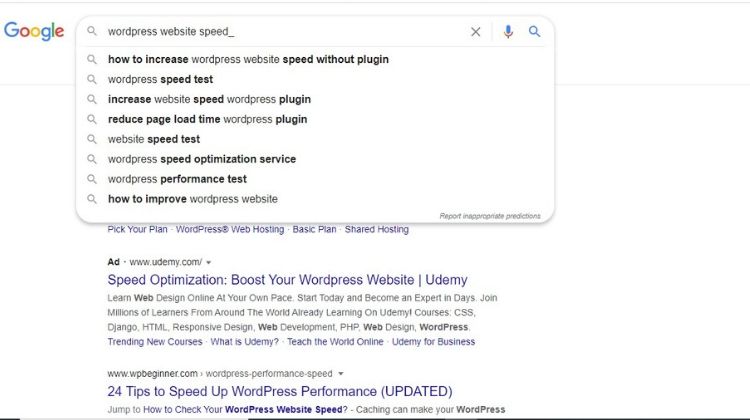 WordPress Website Speed .jpg