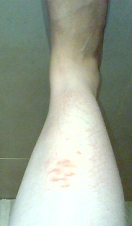 WP_20170326_003.jpg