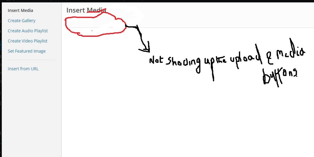 wpcontent.JPG