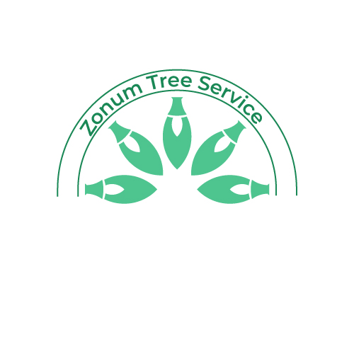 Zonum.jpg