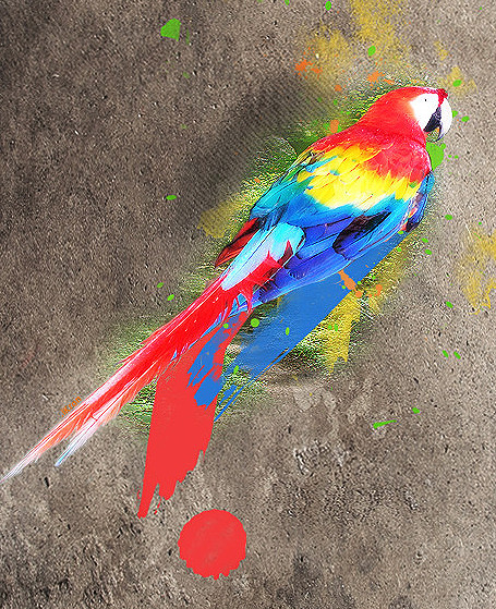 [​IMG]